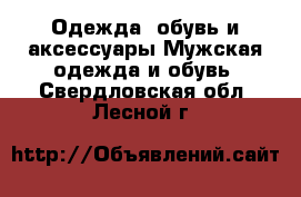 Одежда, обувь и аксессуары Мужская одежда и обувь. Свердловская обл.,Лесной г.